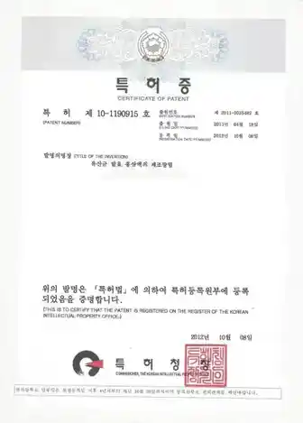 발효 홍삼액