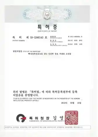 인진쑥 발효 추출물